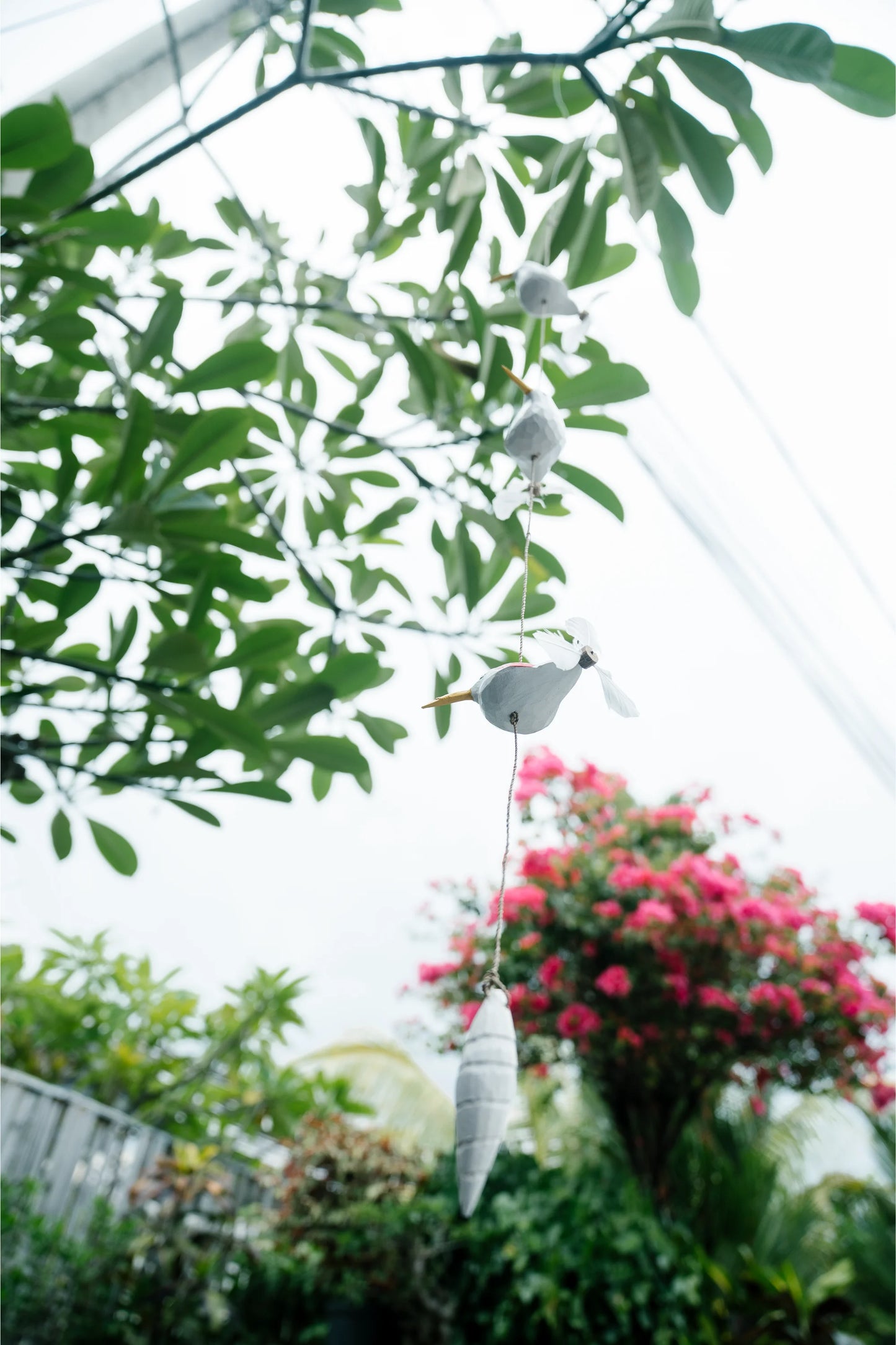 Humming birds in flight Pink