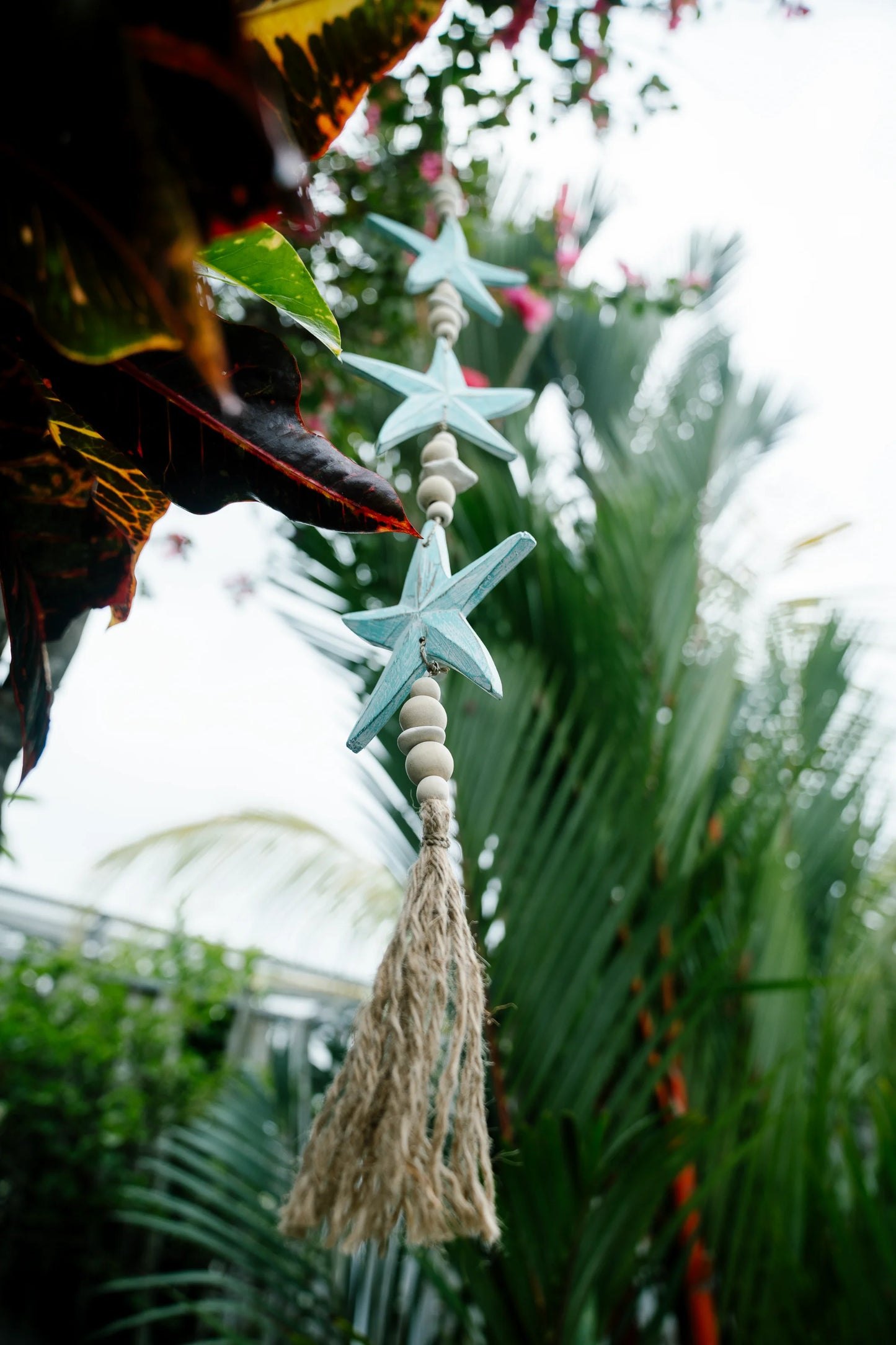 Aquatic Charm Star Fish