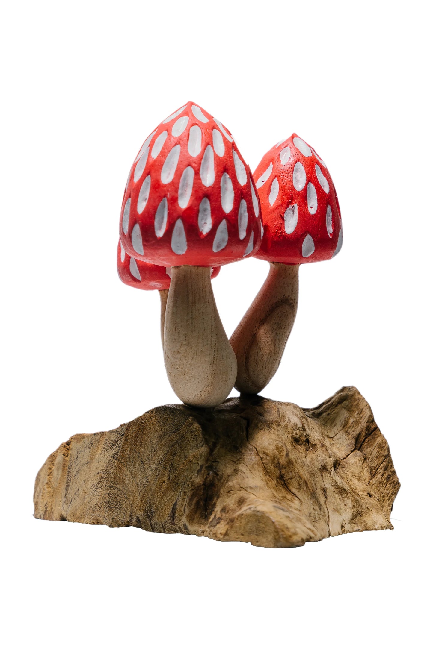 Tropical Magic Mushrooms