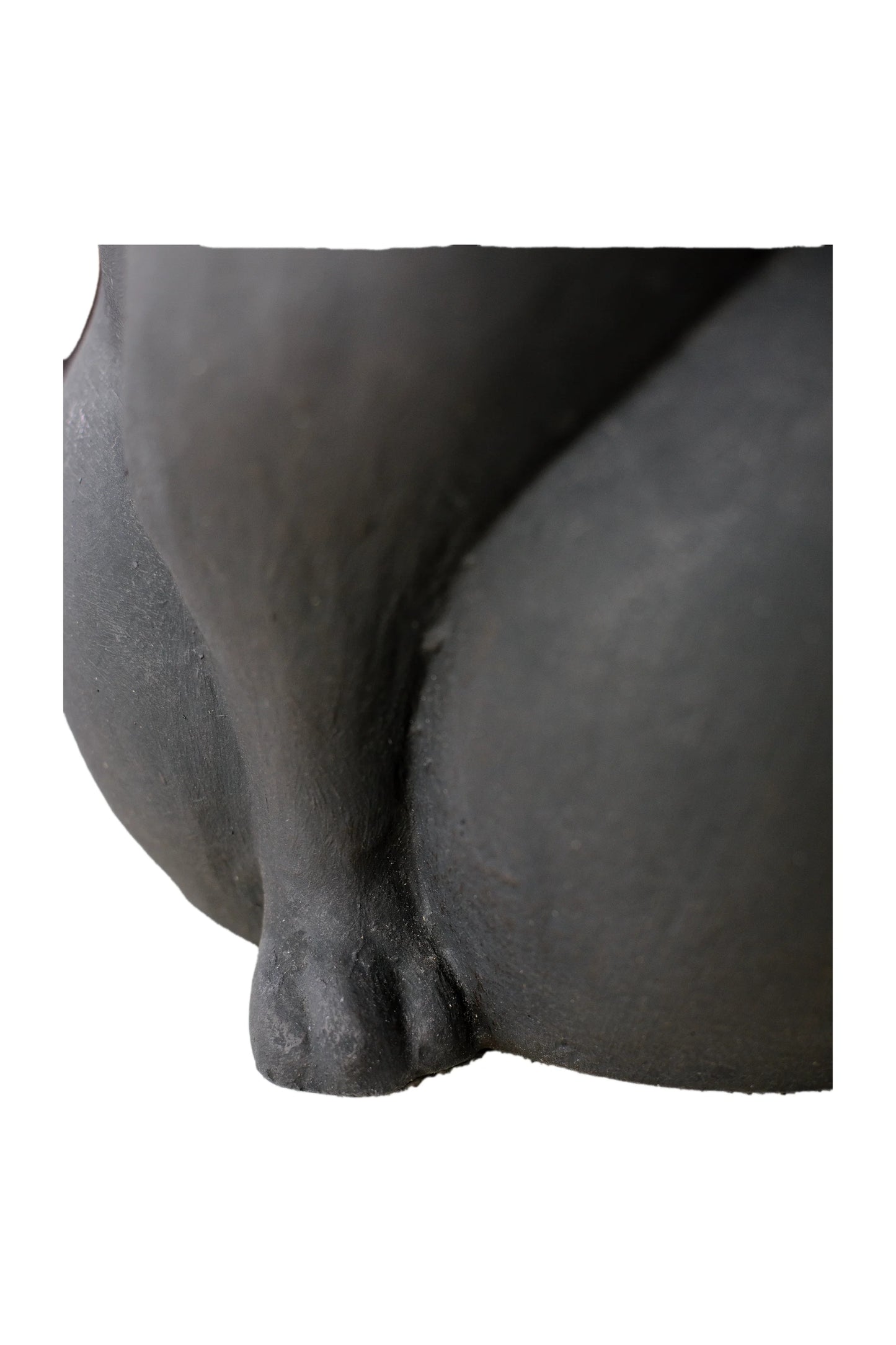 Hugging Cats in Love