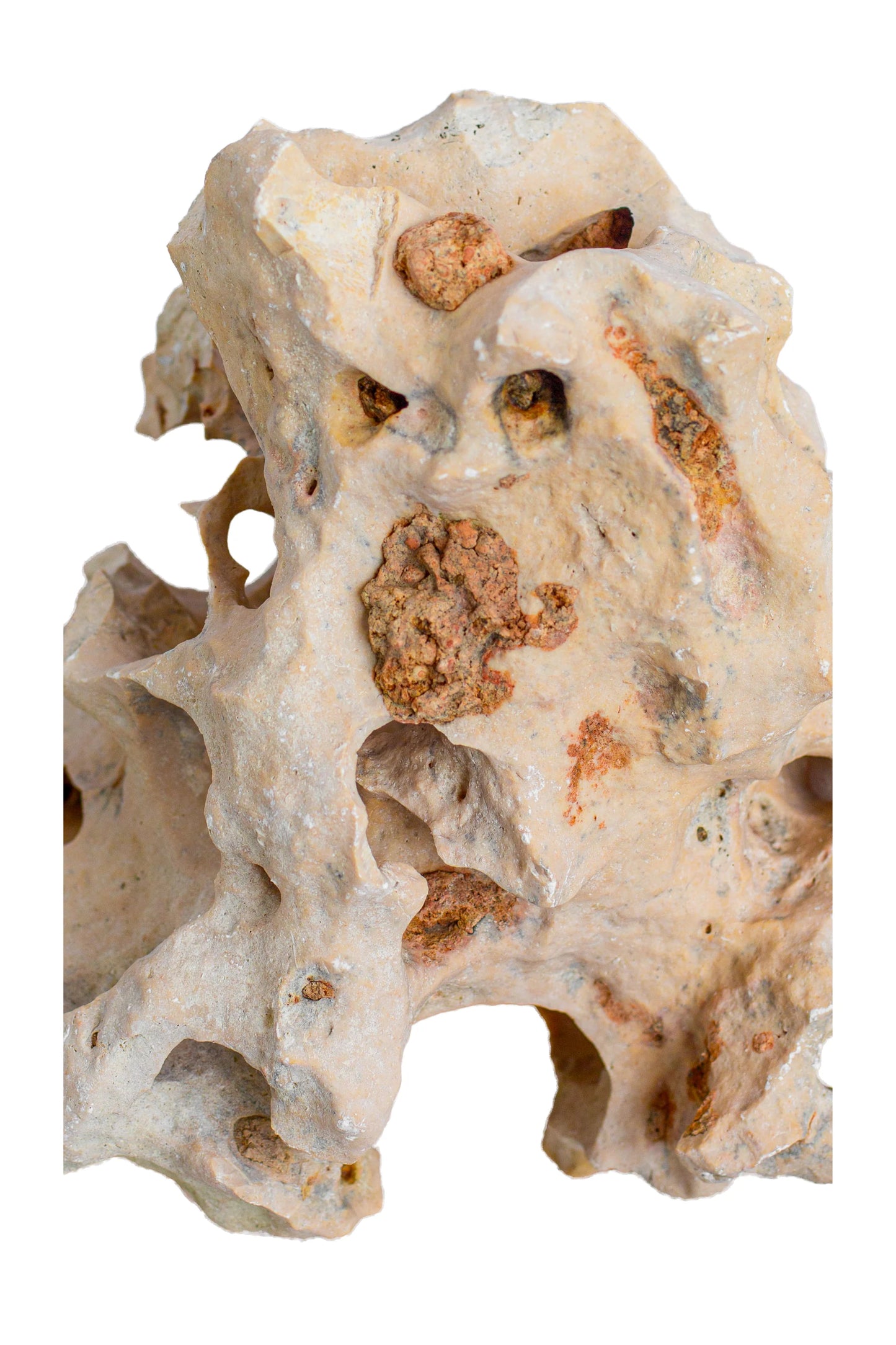 Natural Sea Rock Table Decor - Small - Style 01