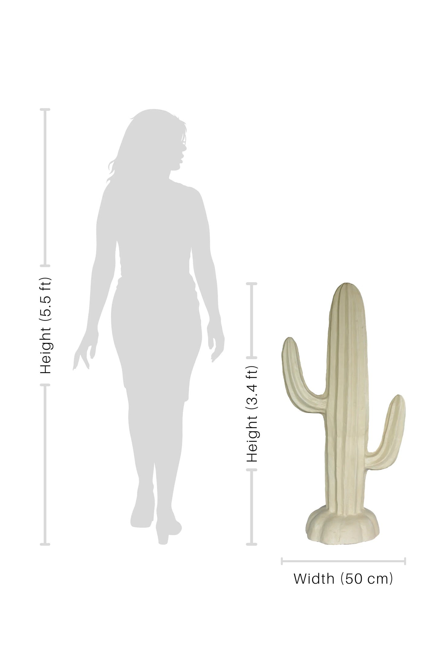 Desert Cactus Garden Mural - Medium