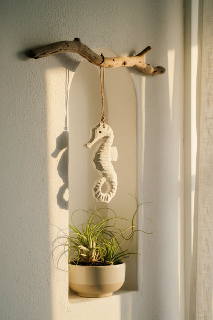 Timber Seahorse Treasures White