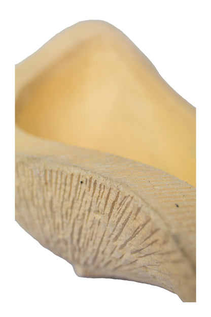 Sea Shell Planter