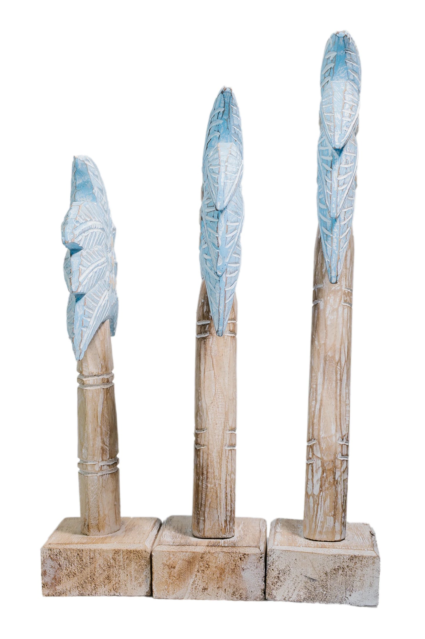 Little tropical tree - set (3)