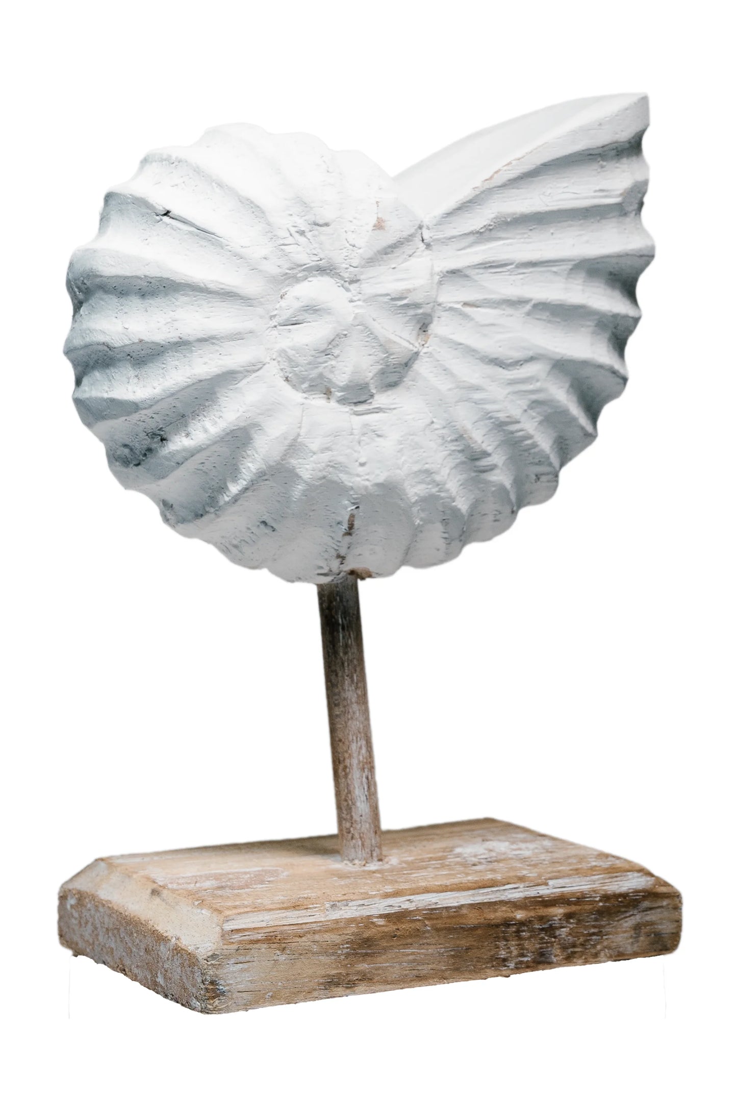 Rustic Shell Reflections Antique White