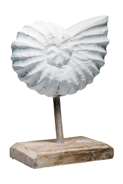 Rustic Shell Reflections Antique White