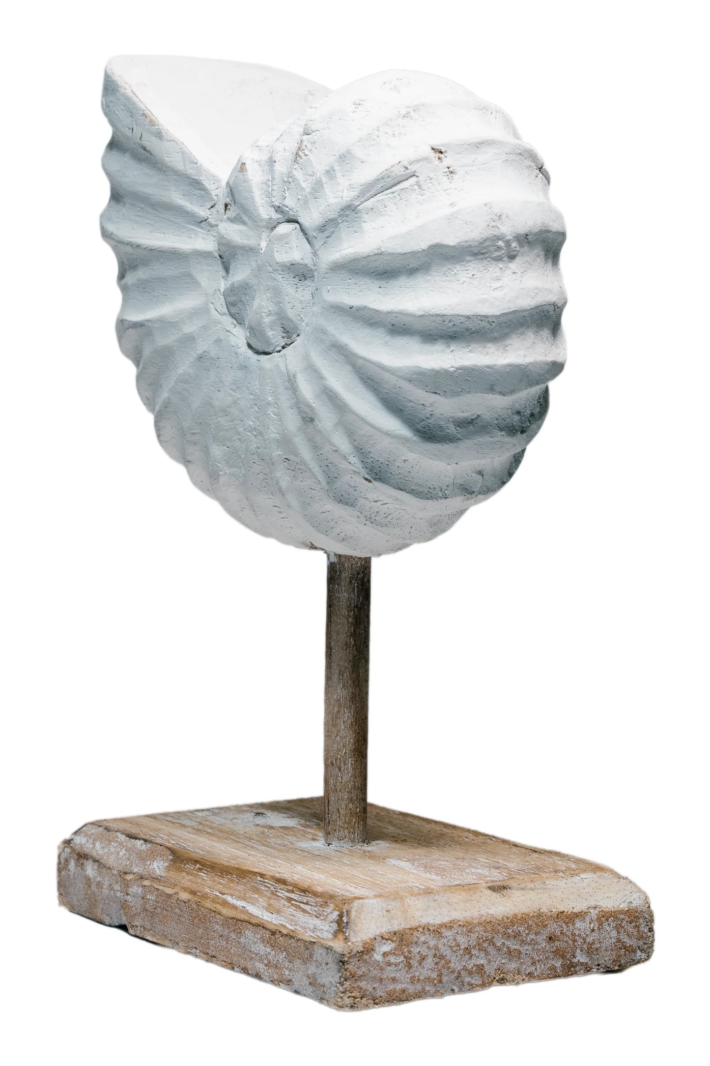 Rustic Shell Reflections Antique White