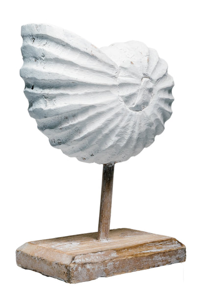 Rustic Shell Reflections Antique White