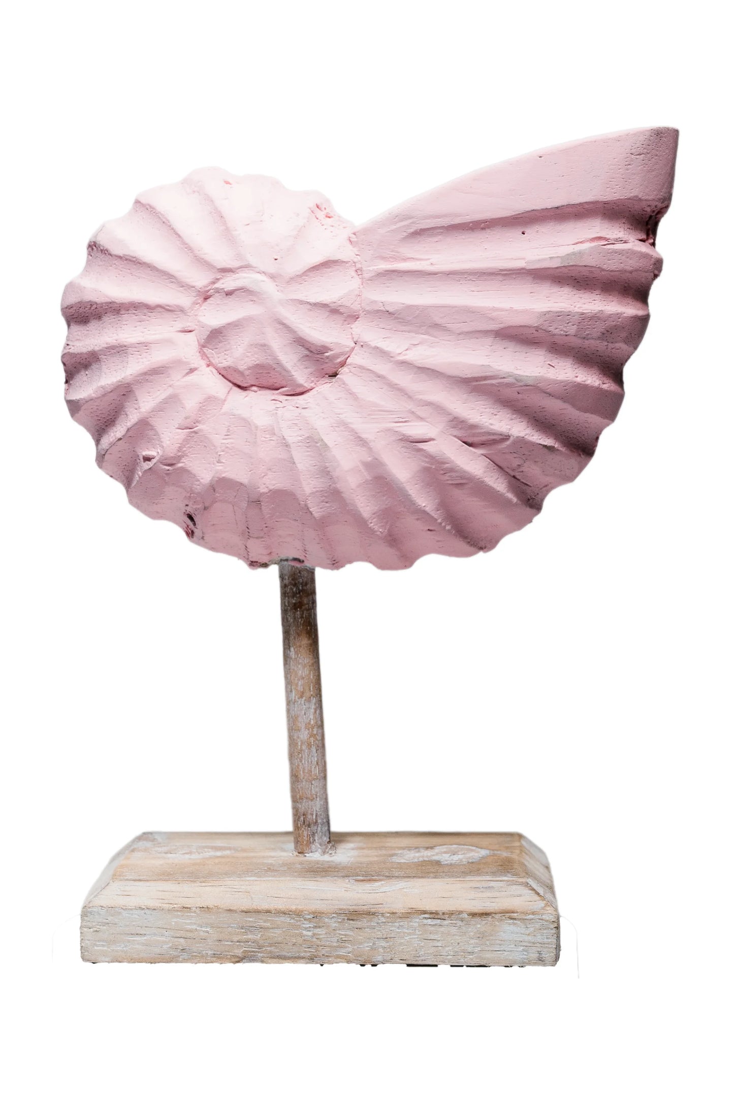 Rustic Shell Reflections Baby Pink
