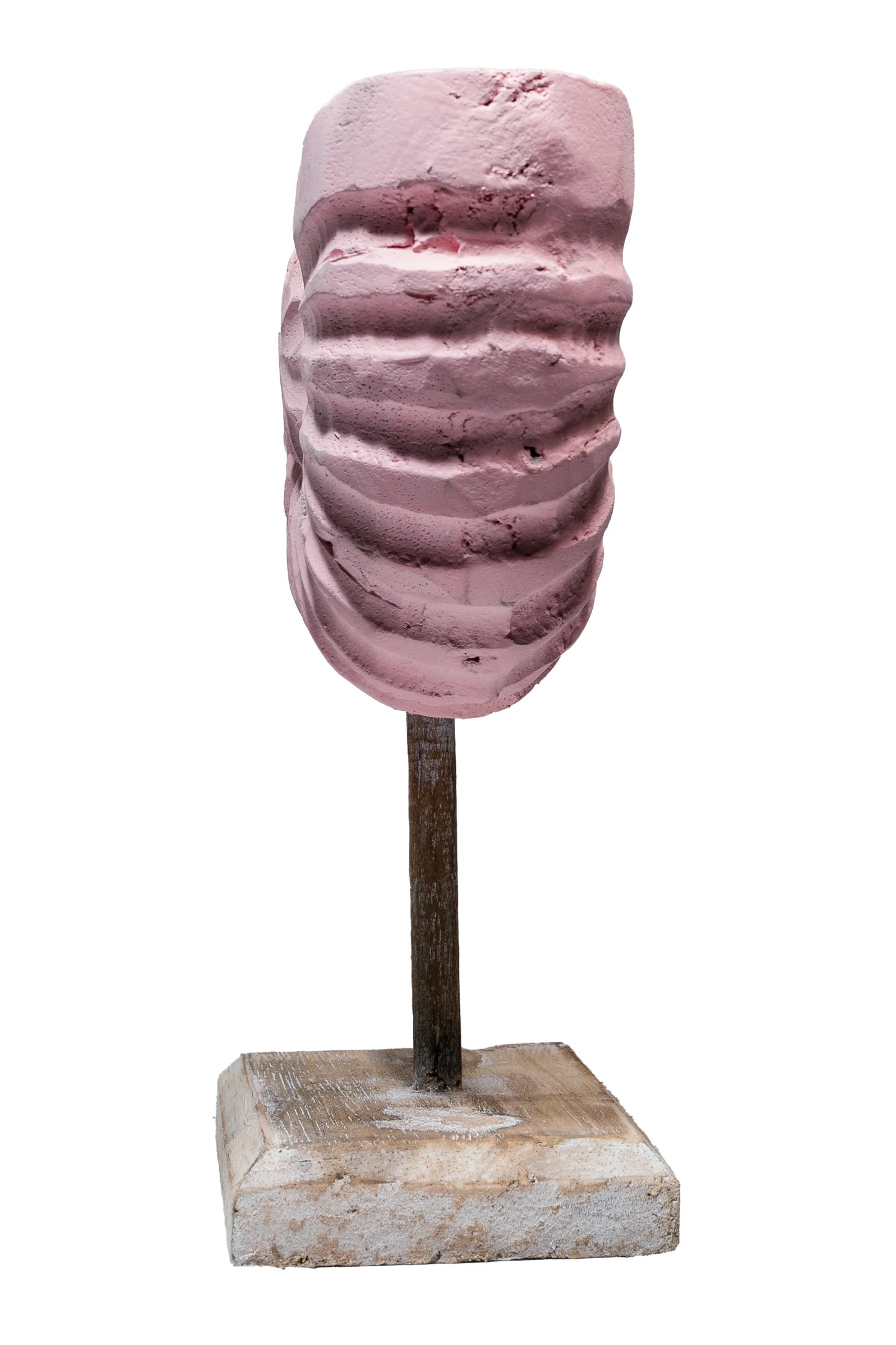 Rustic Shell Reflections Baby Pink