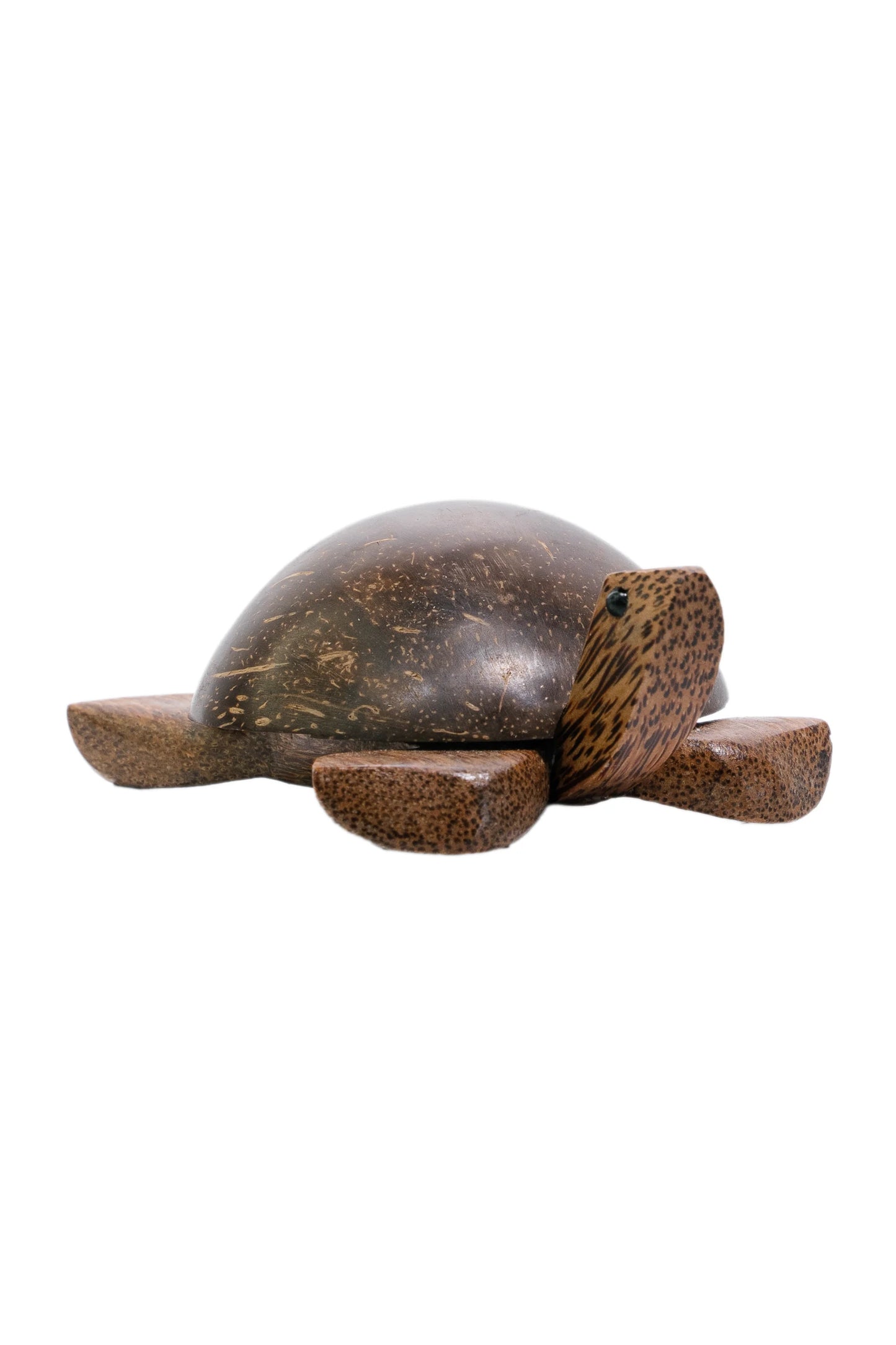 Aloha Coco Turtle with nodding head