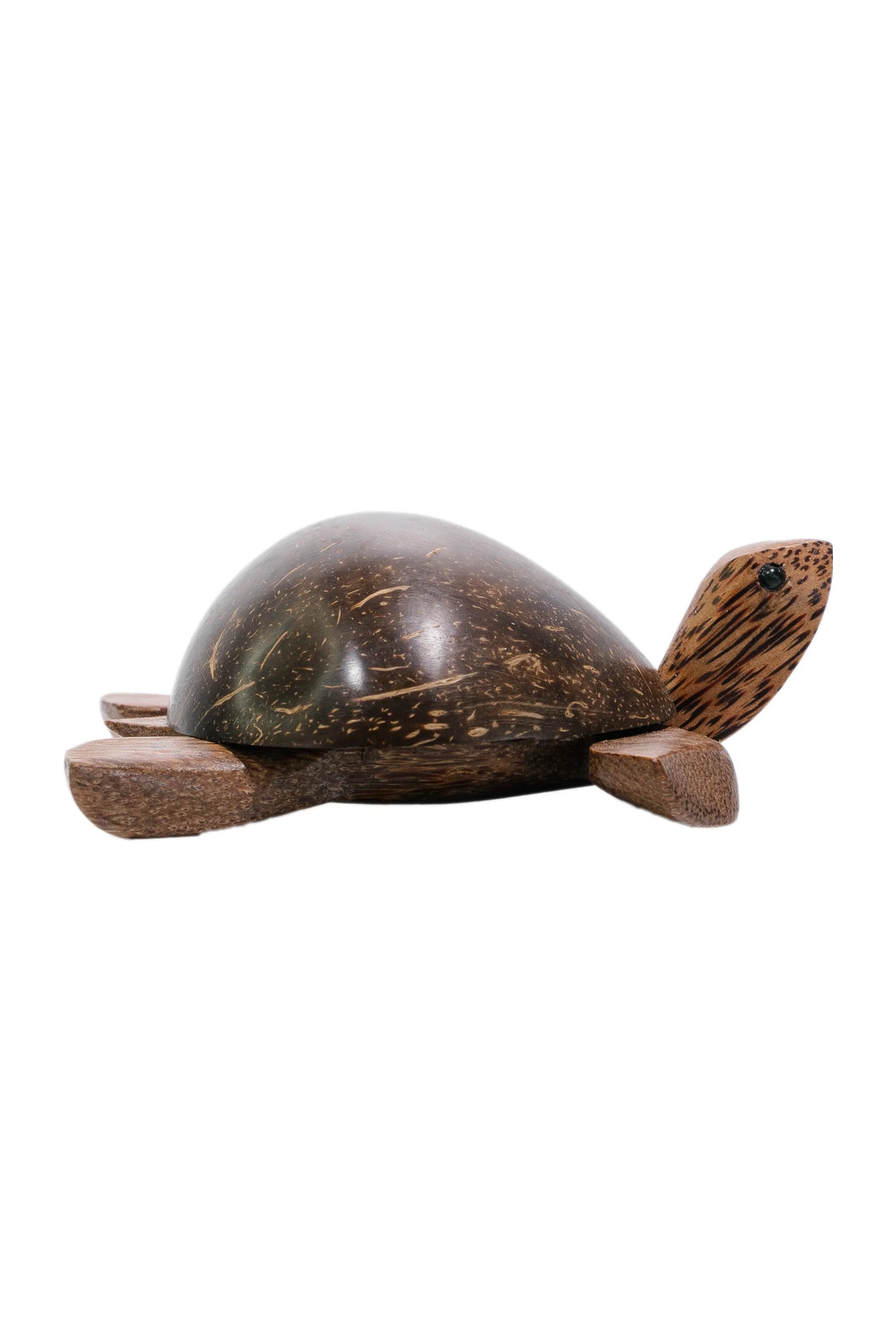 Aloha Coco Turtle with nodding head