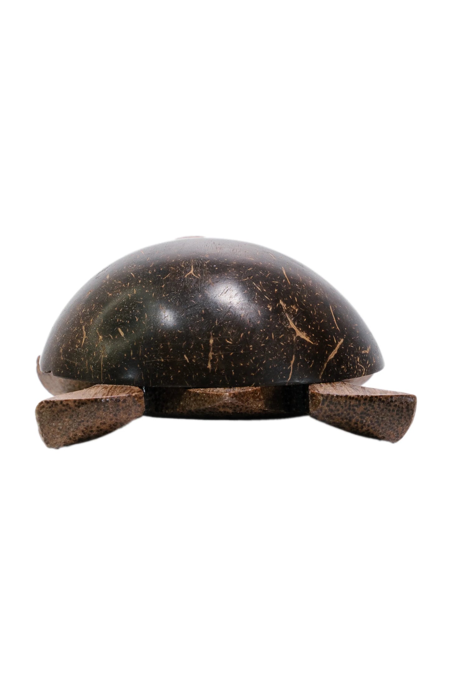 Aloha Coco Turtle with nodding head
