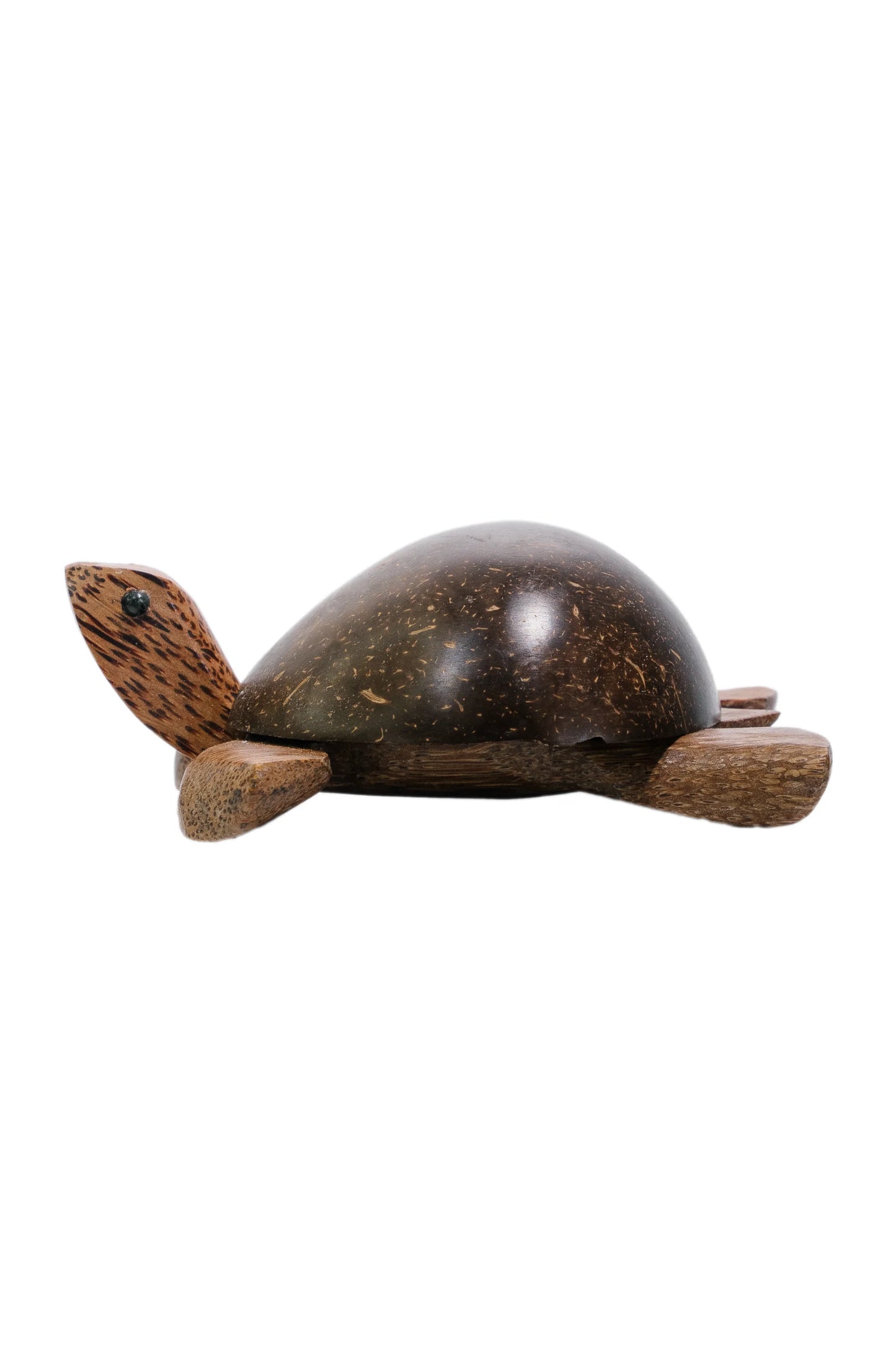 Aloha Coco Turtle with nodding head