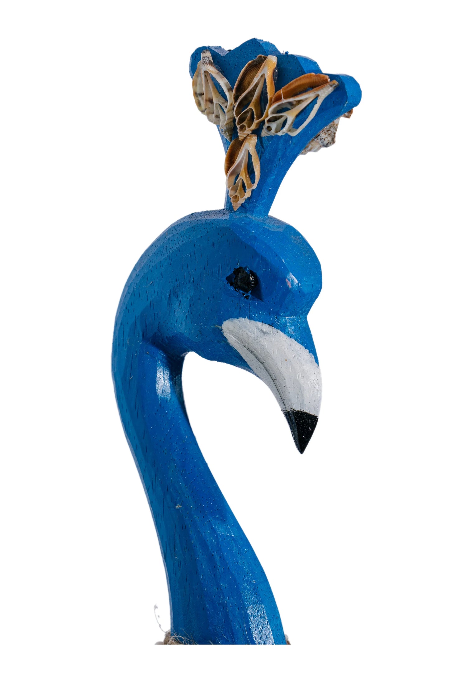 Coral Cove Flamingos Style 02 - (Aqua Blue)