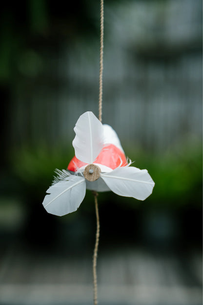 Humming birds in flight Pink