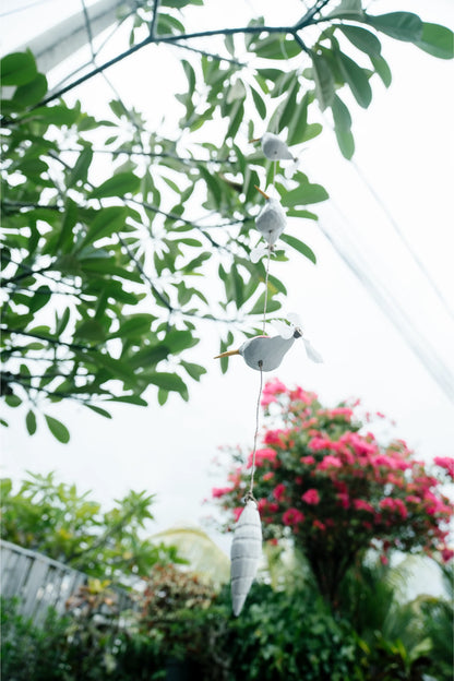 Humming birds in flight Pink