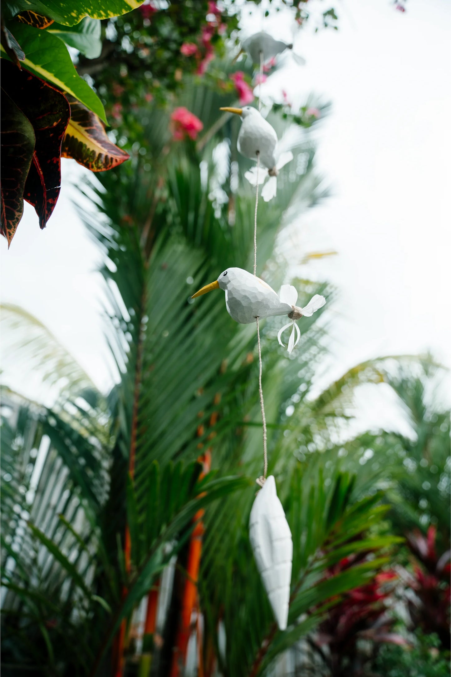 Humming birds in flight Yellow