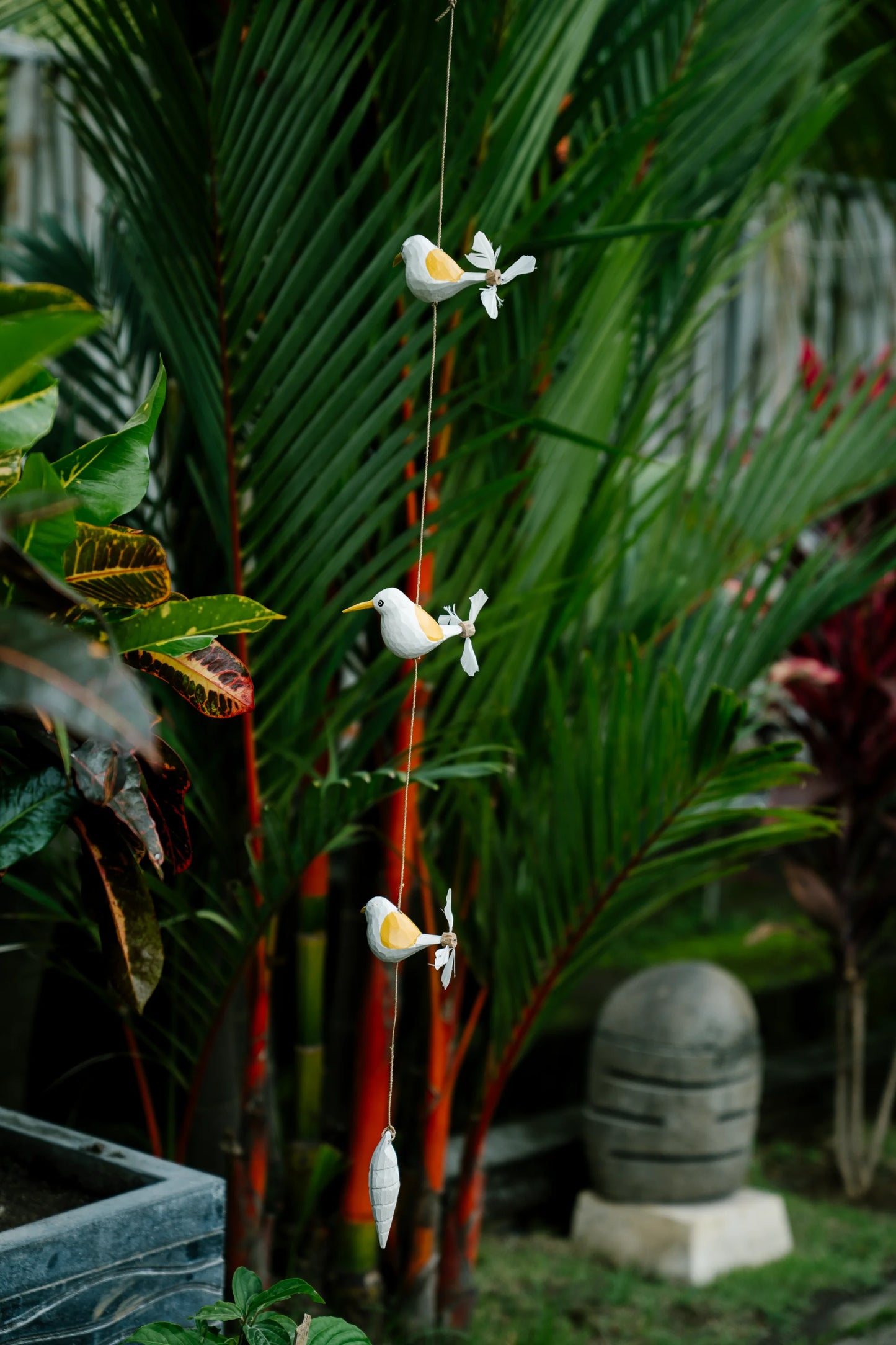 Humming birds in flight Yellow