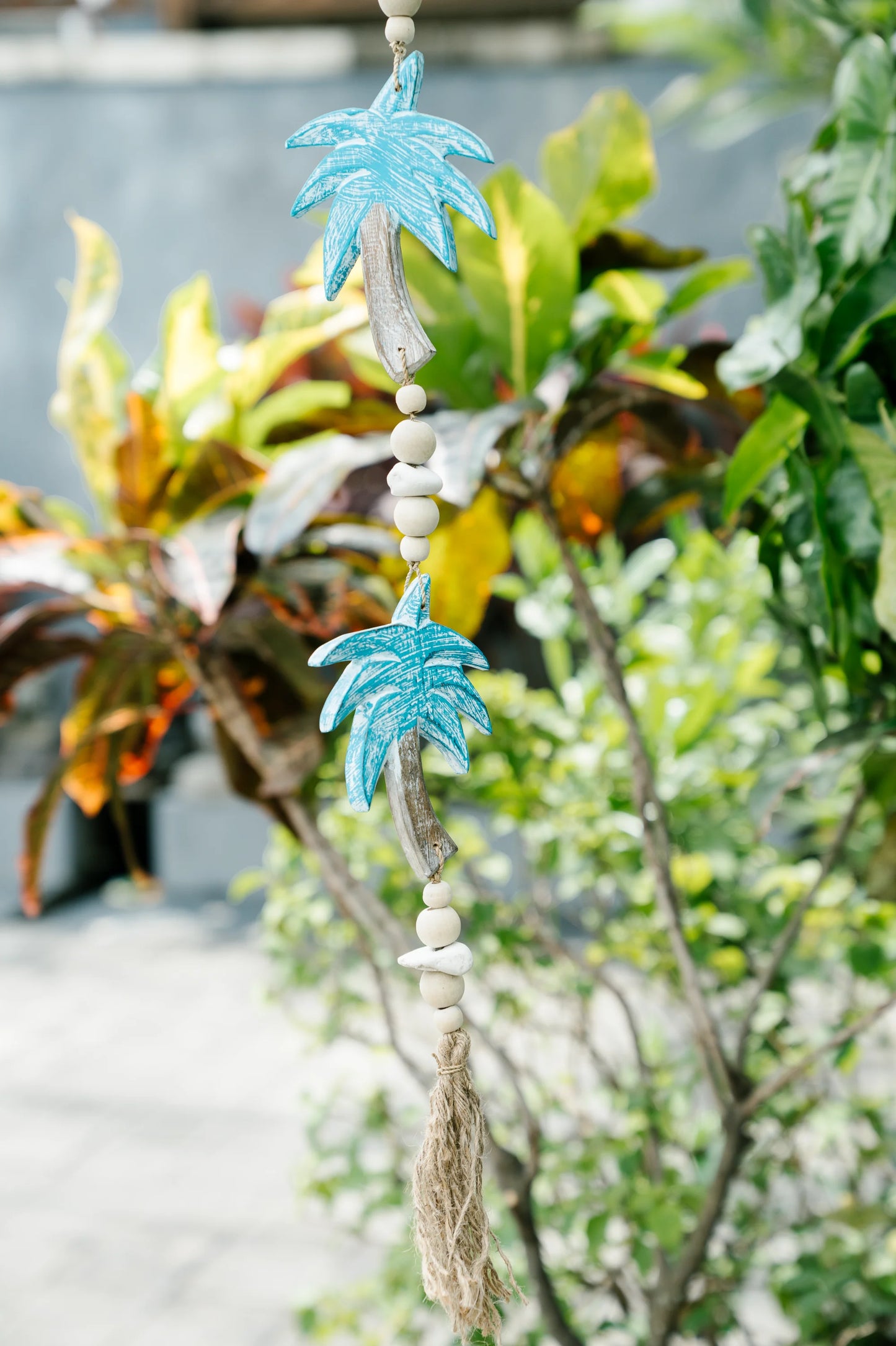 Tropical Palm Charm