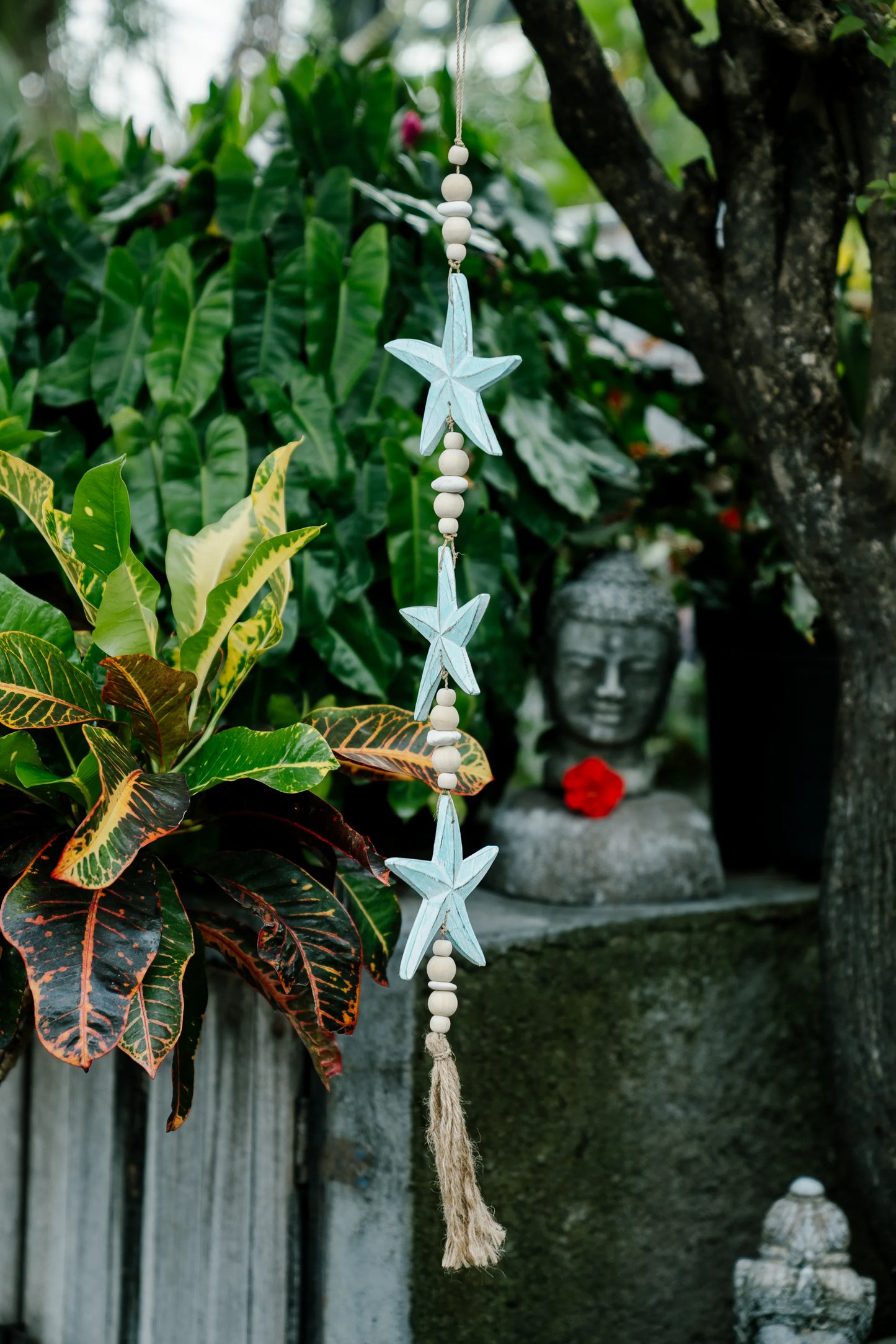 Aquatic Charm Star Fish