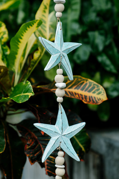 Aquatic Charm Star Fish