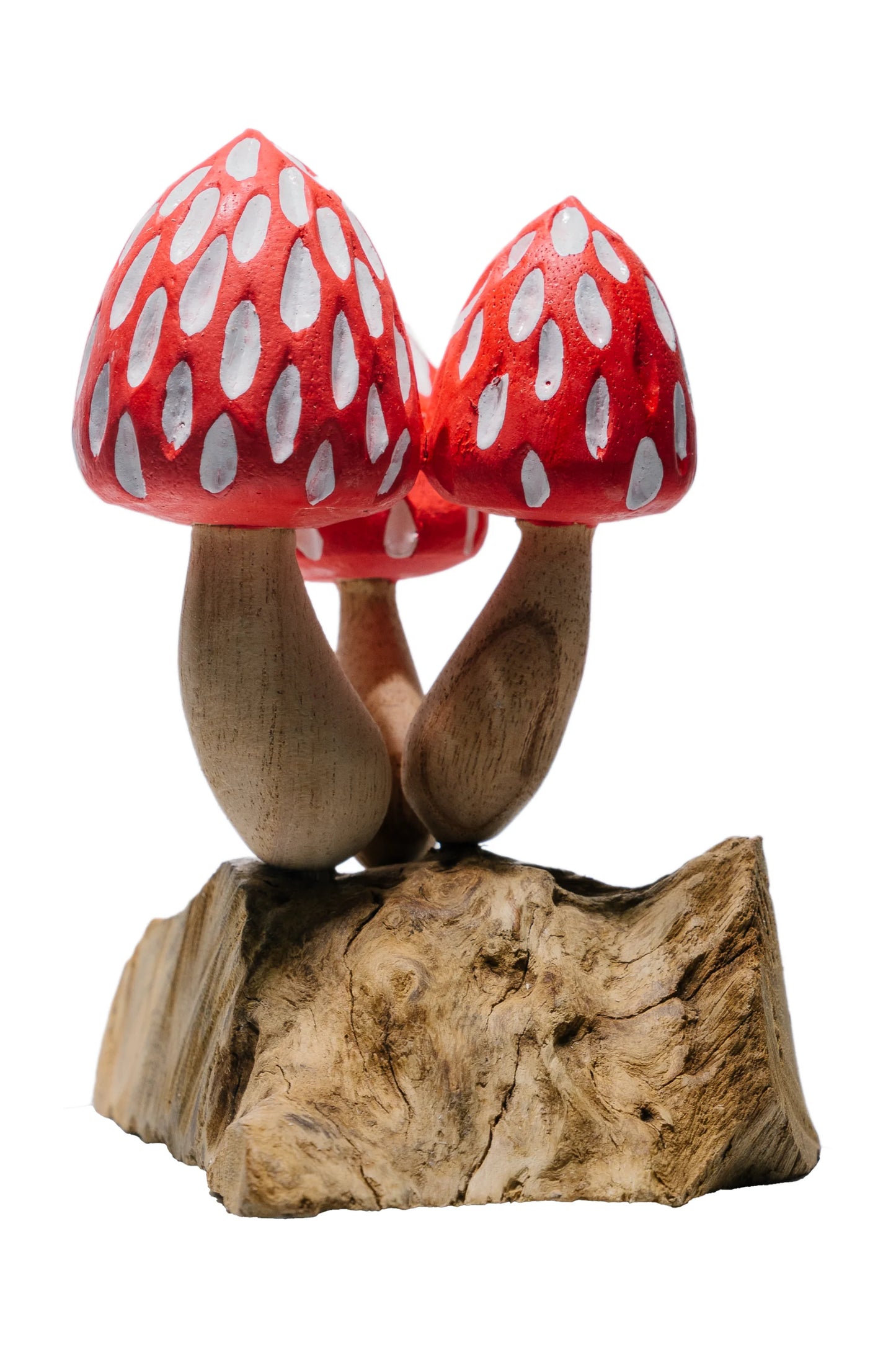 Tropical Magic Mushrooms