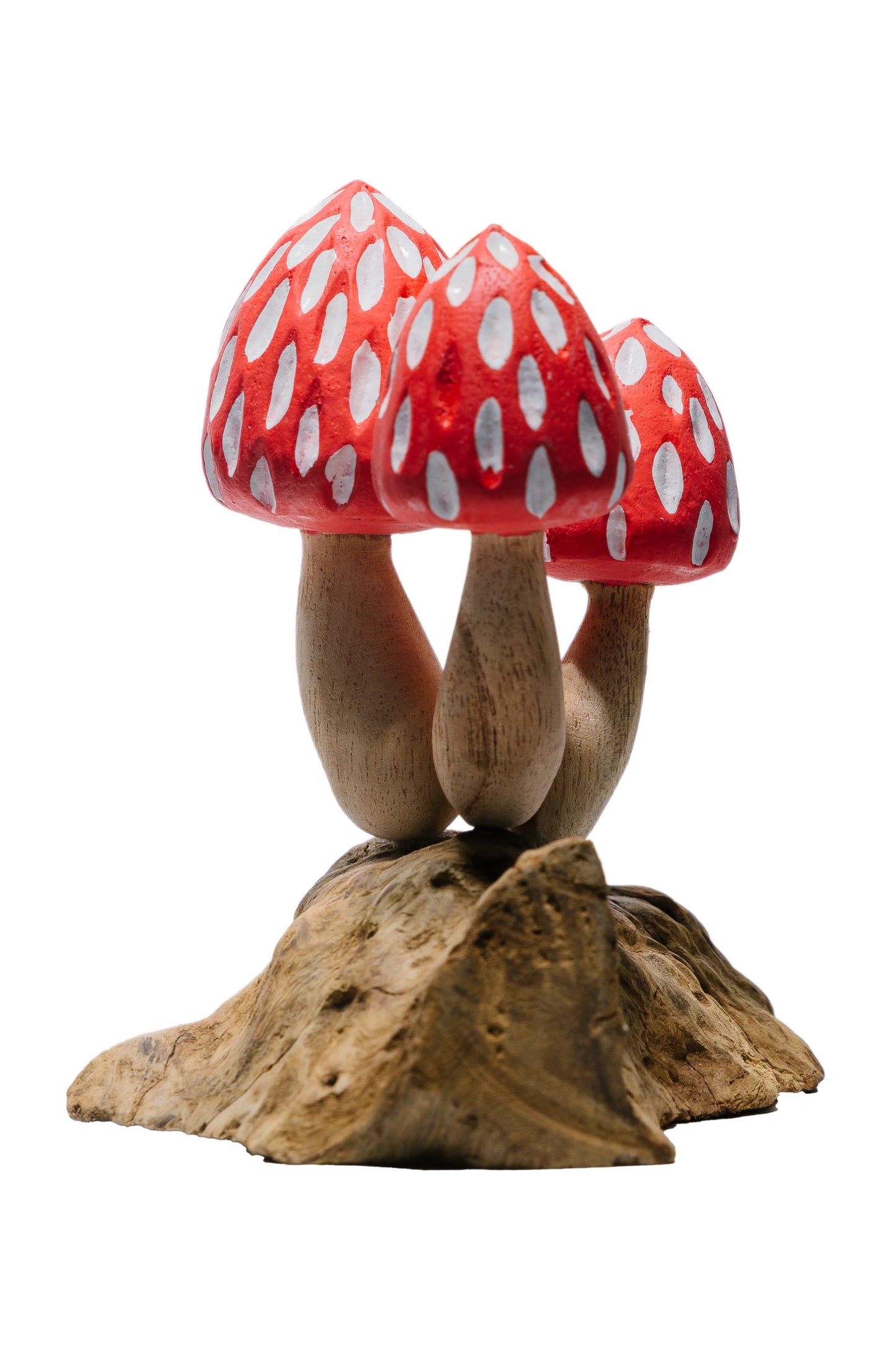 Tropical Magic Mushrooms