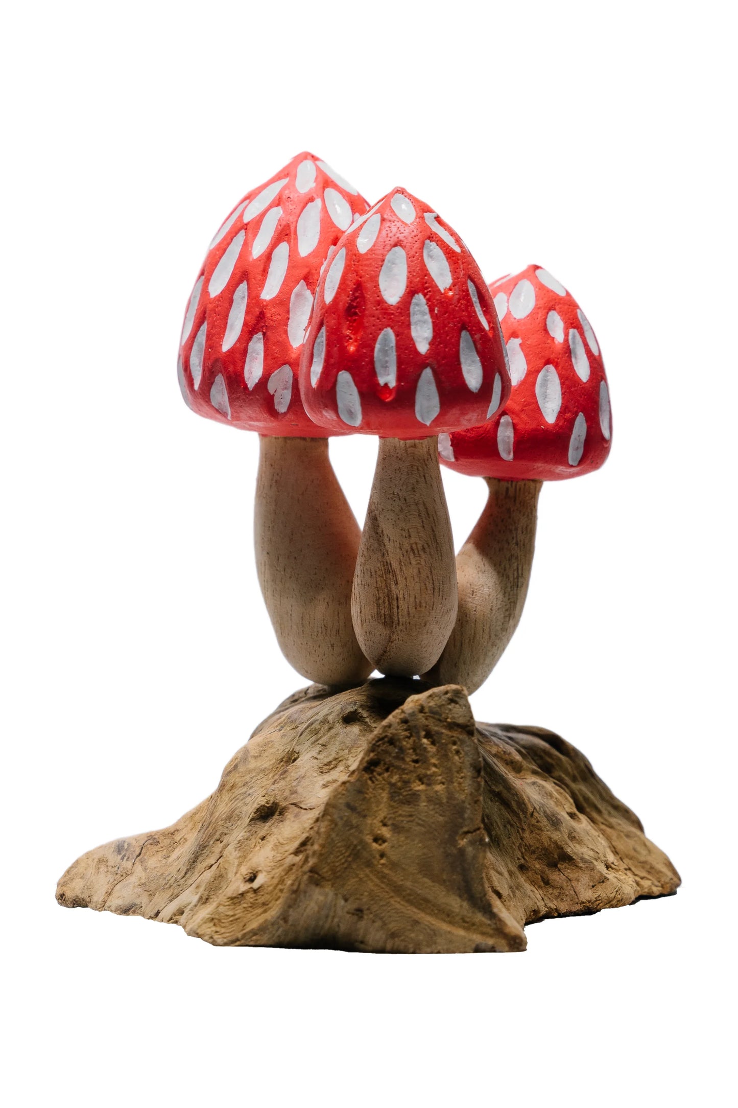 Tropical Magic Mushrooms