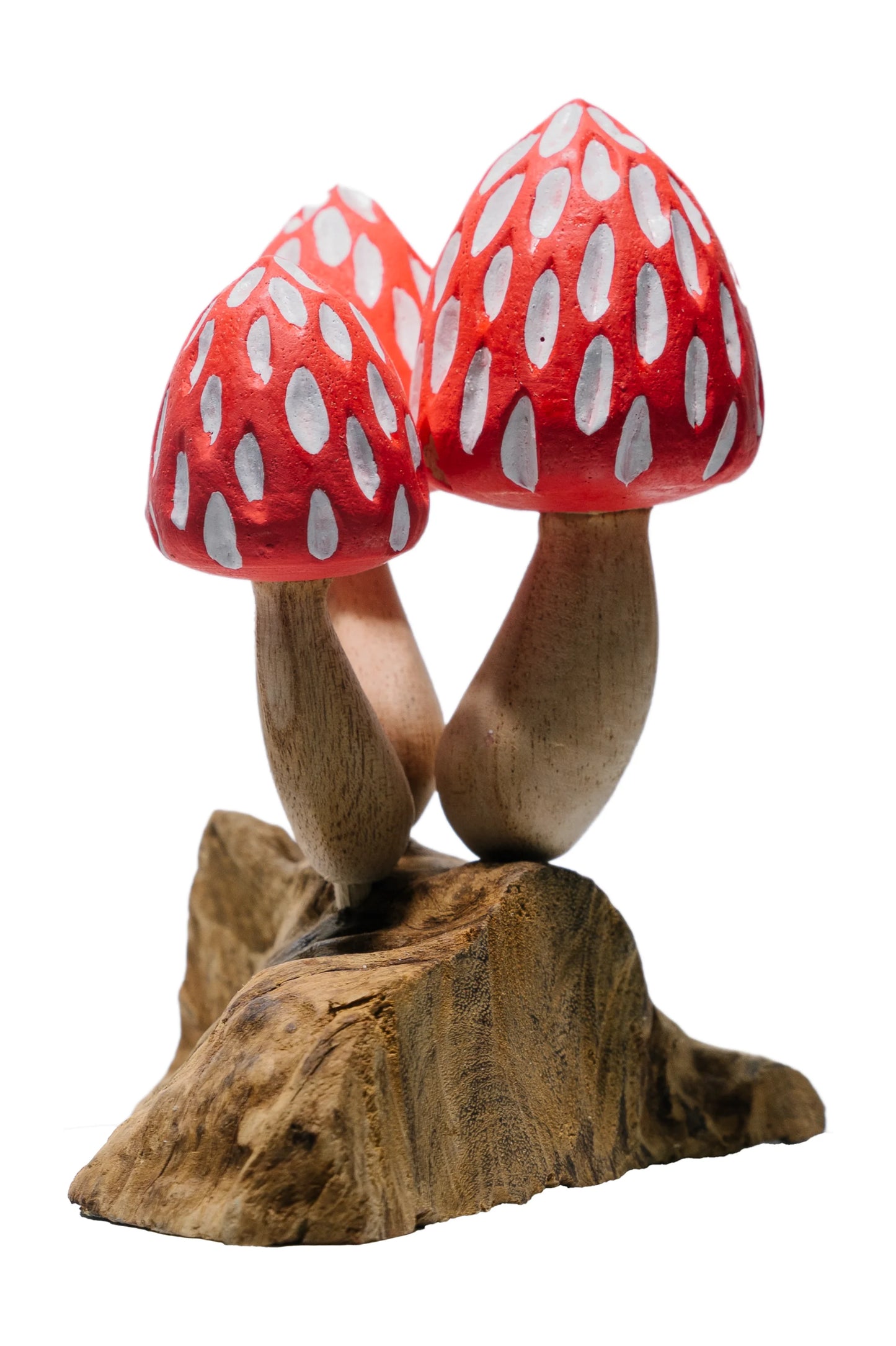 Tropical Magic Mushrooms