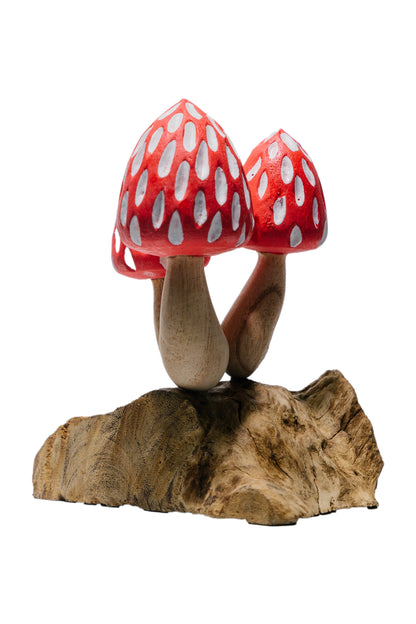 Tropical Magic Mushrooms