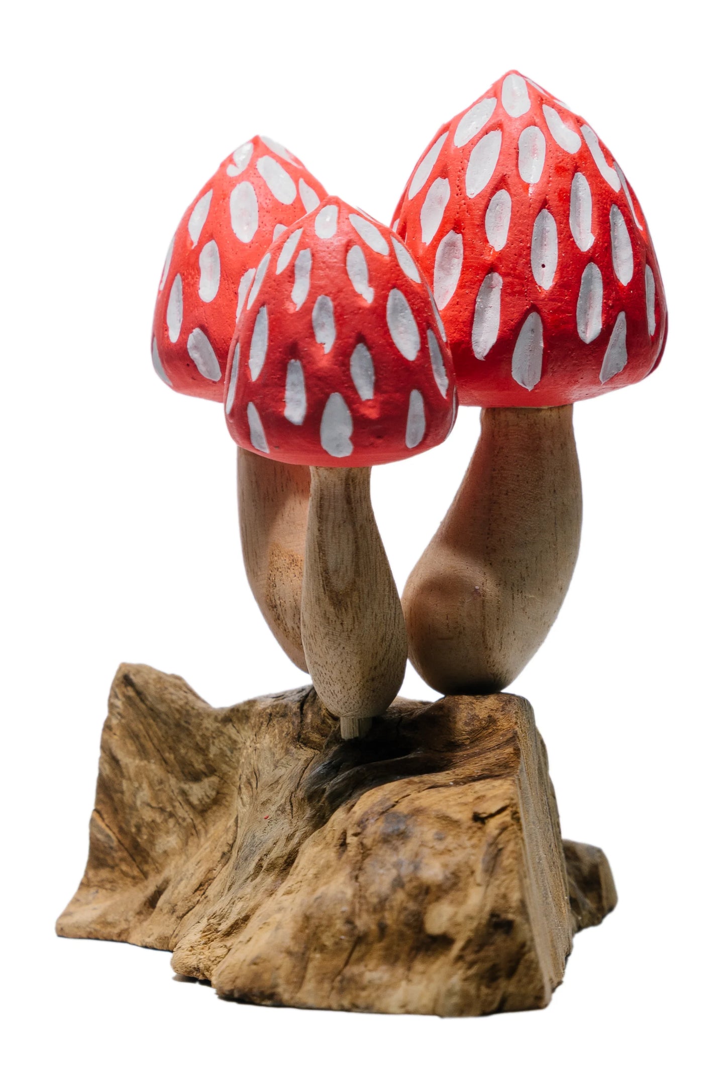 Tropical Magic Mushrooms