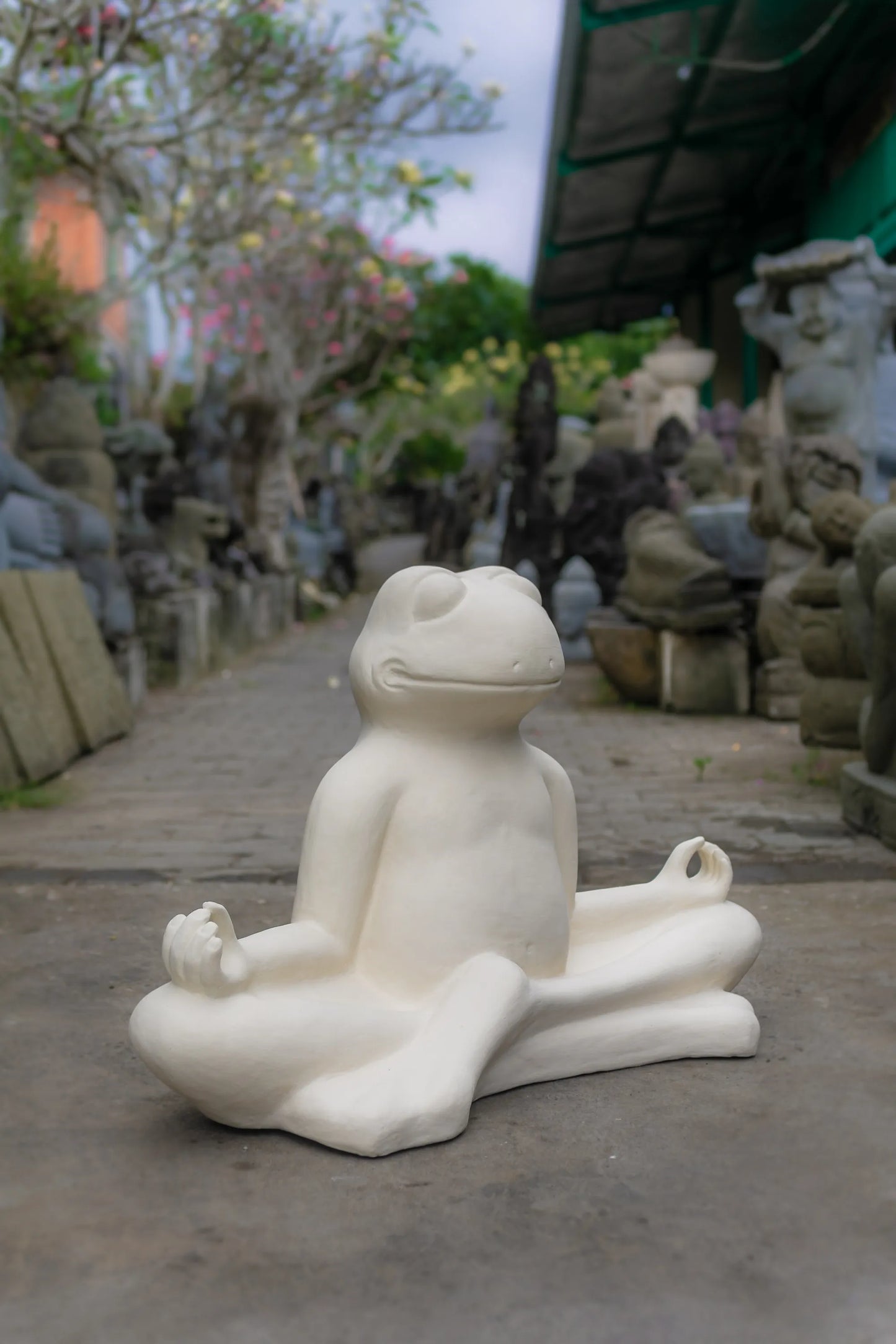 Meditating Frog Large