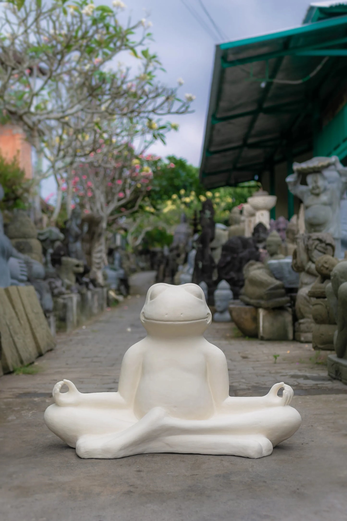 Meditating Frog Large