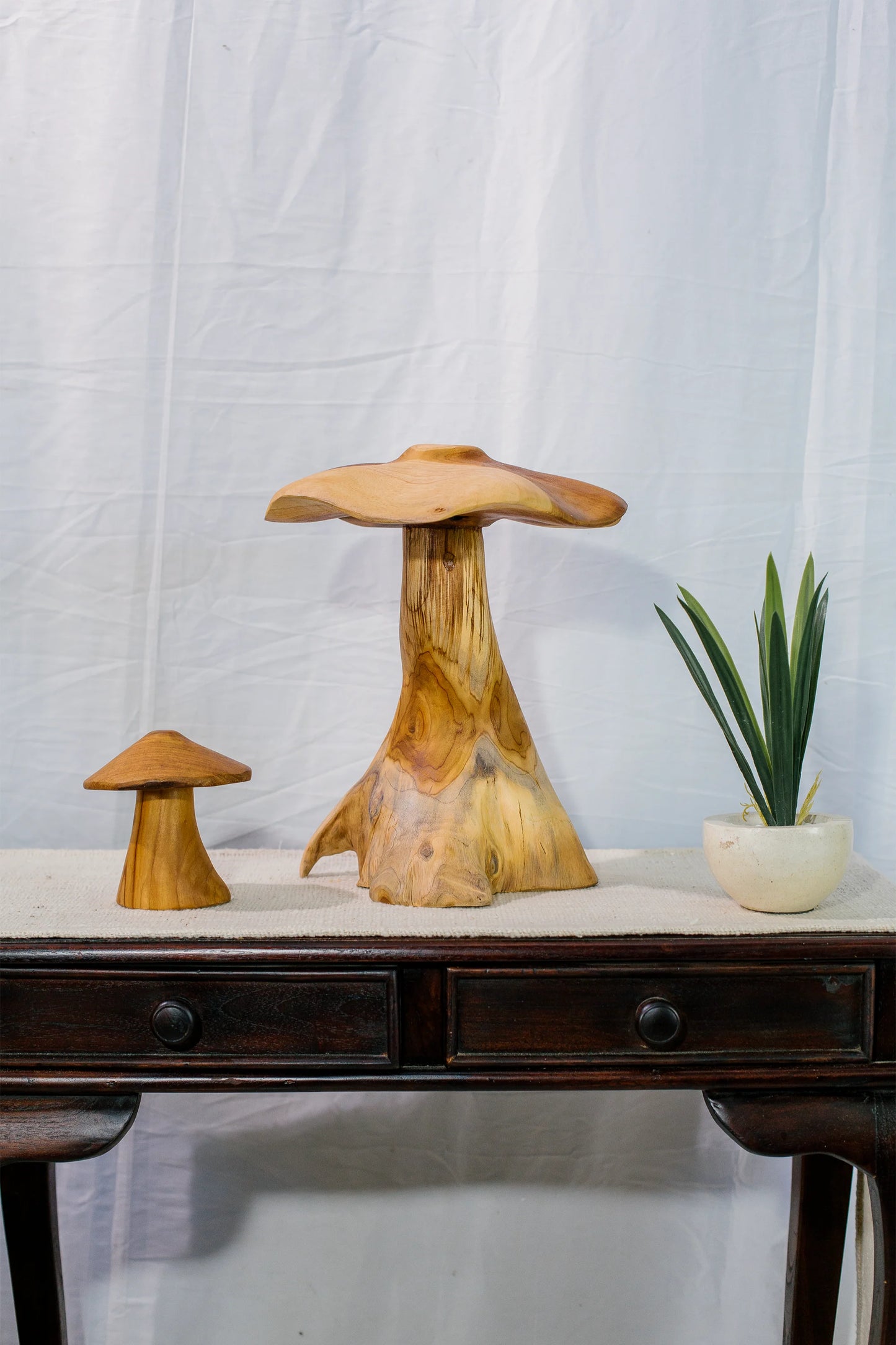 Magic Mushrooms - Set