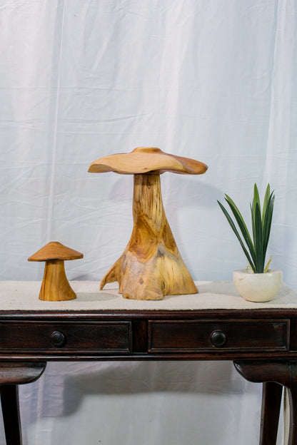 Magic Mushrooms - Set