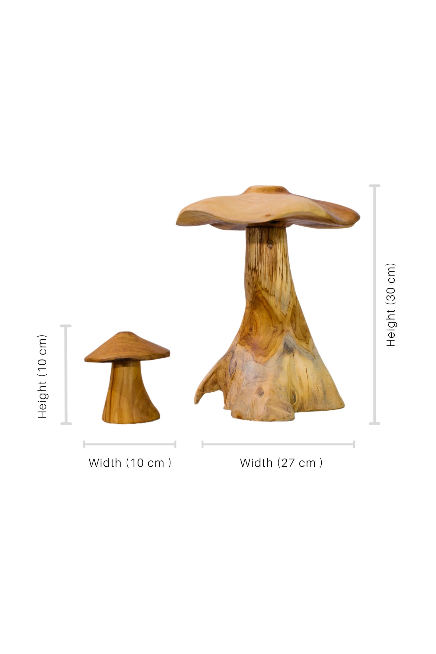 Magic Mushrooms - Set