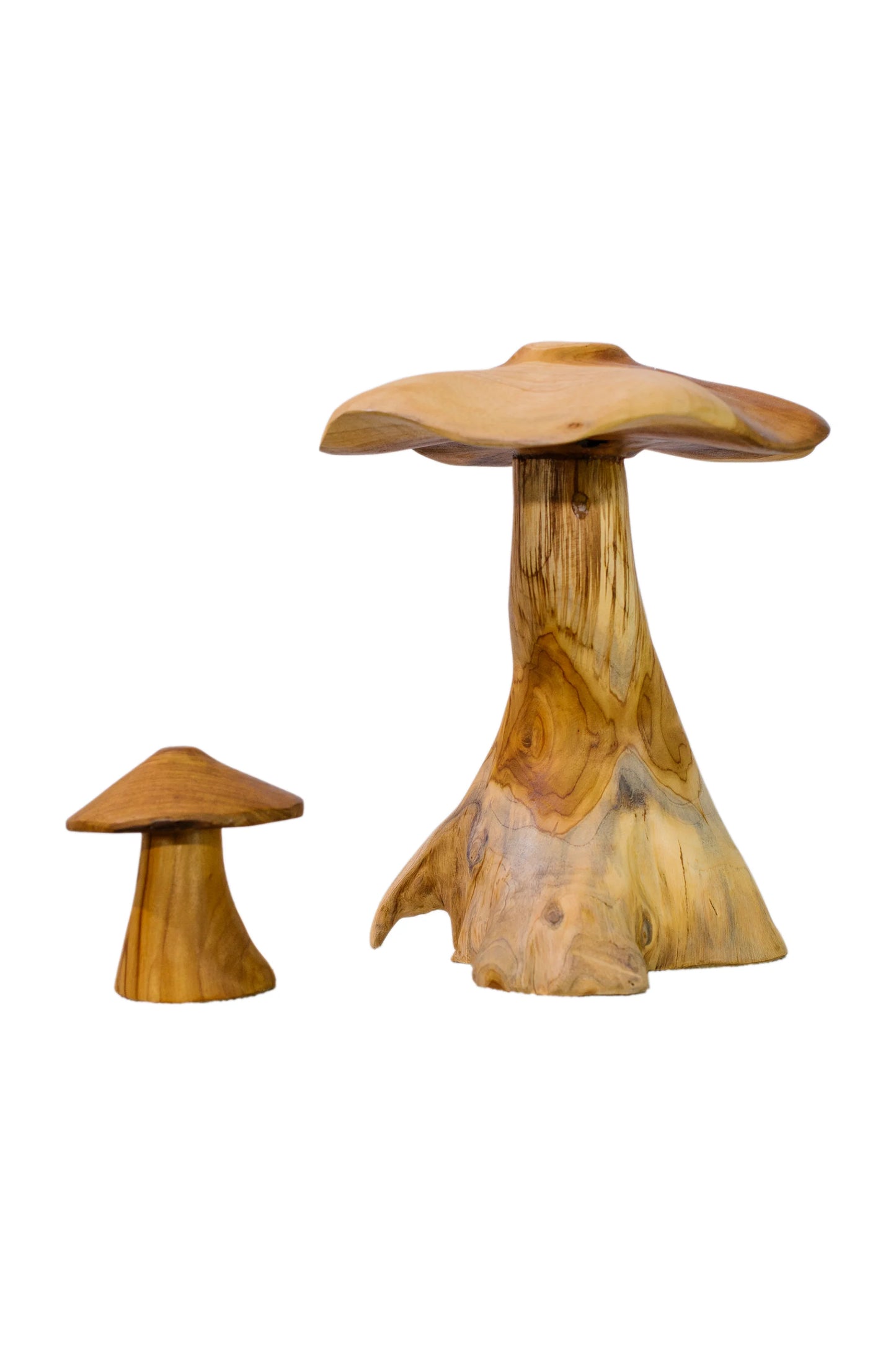 Magic Mushrooms - Set