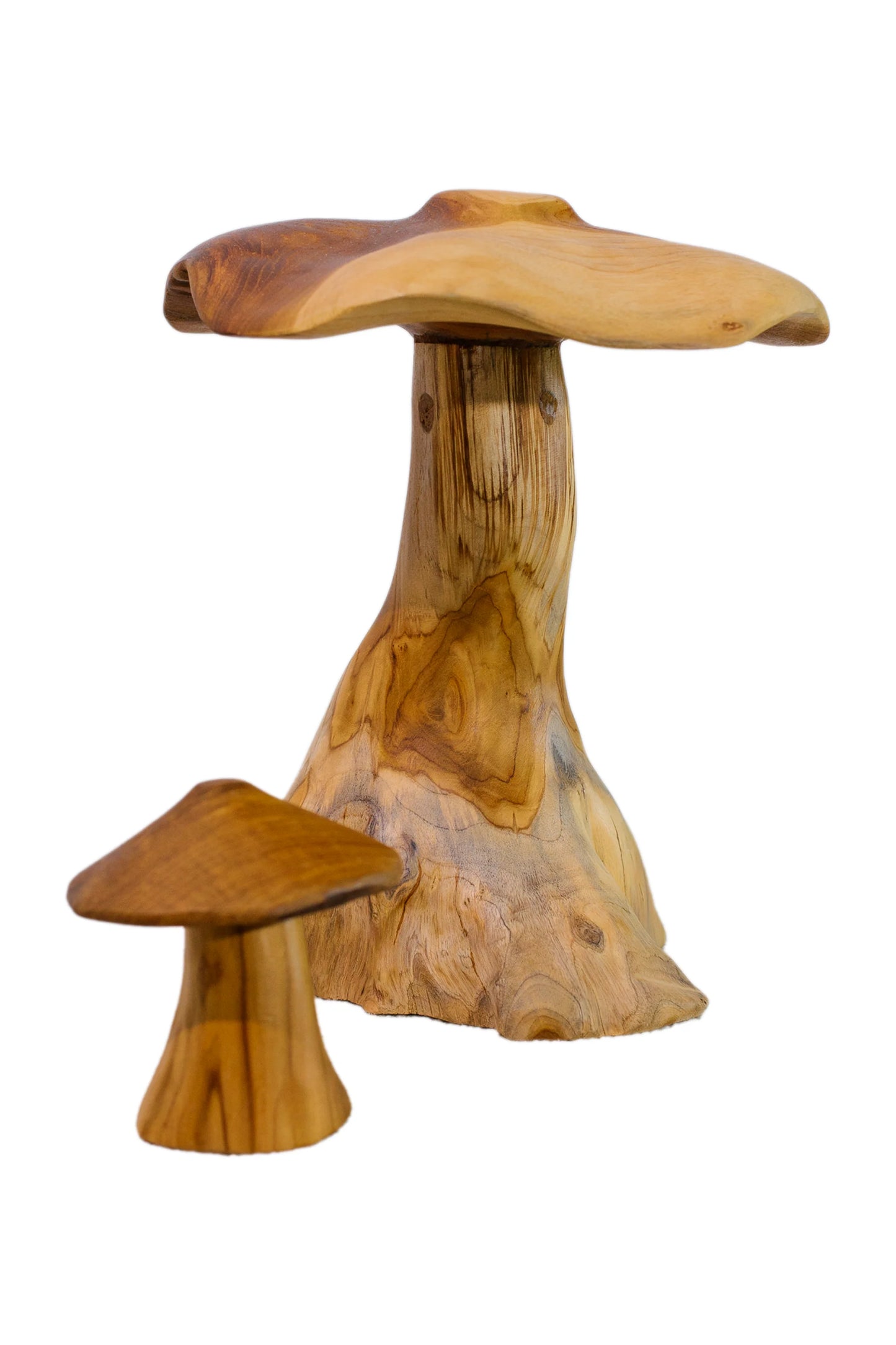 Magic Mushrooms - Set