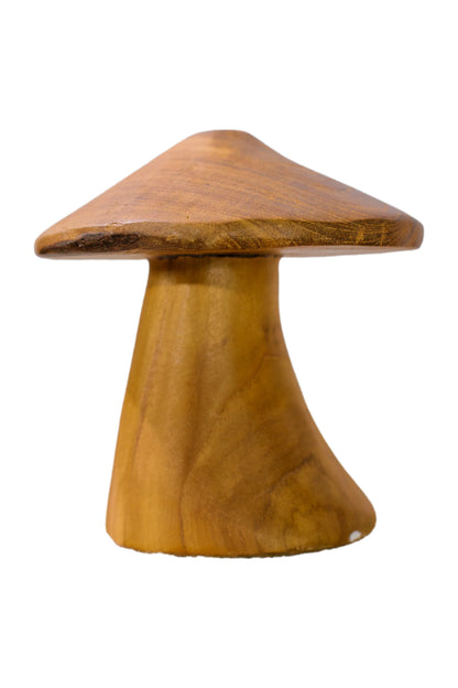 Magic Mushrooms - Set