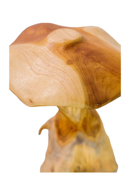 Magic Mushrooms - Set