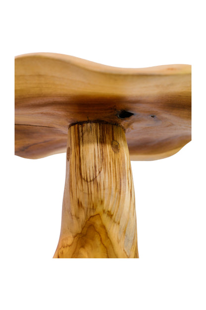 Magic Mushrooms - Set