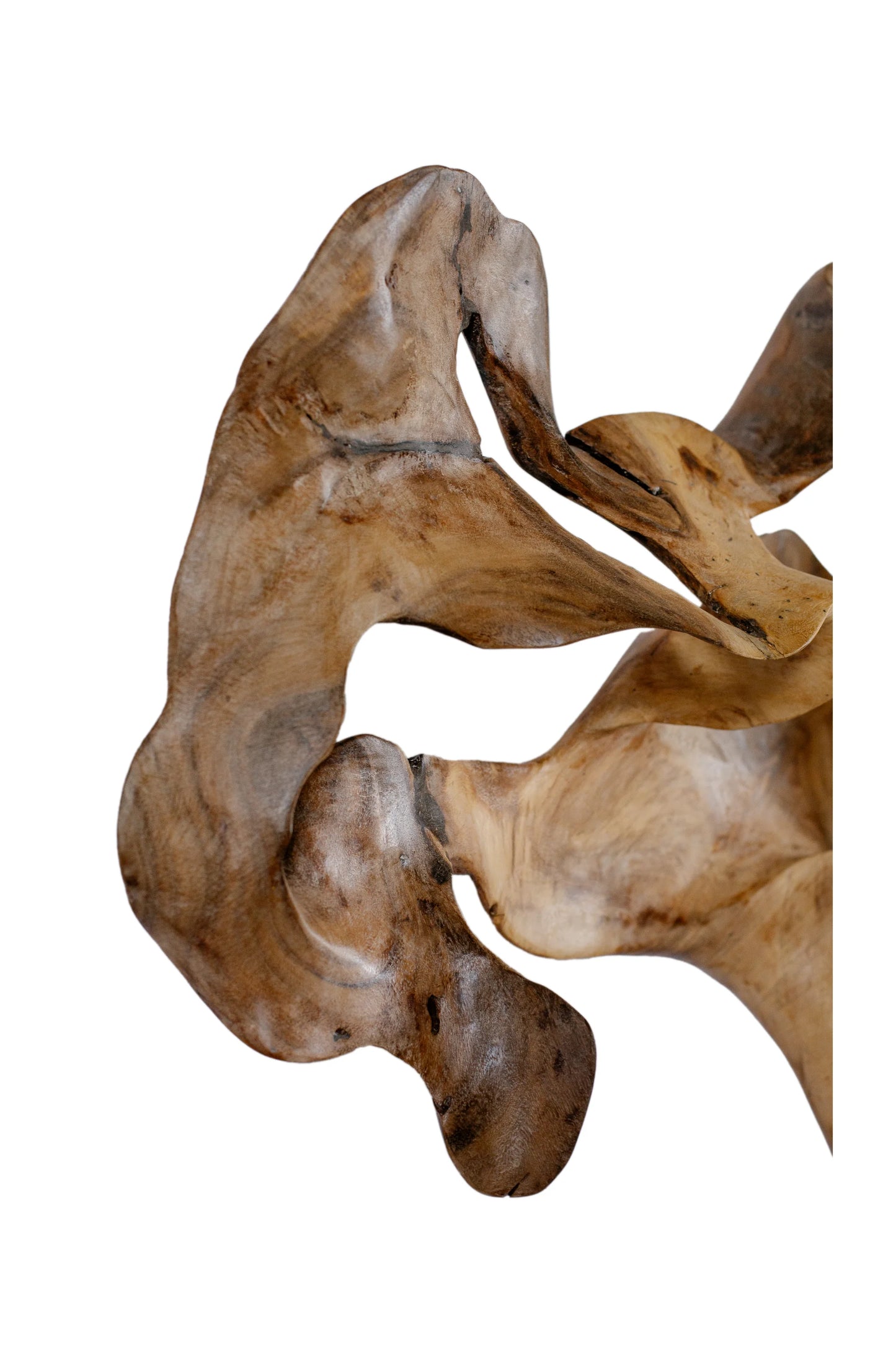 Nature’s Textured Harmony - Style 1