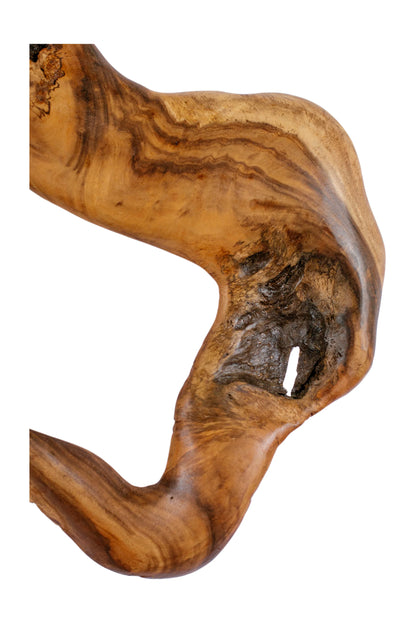 Nature’s Textured Harmony - Style 2