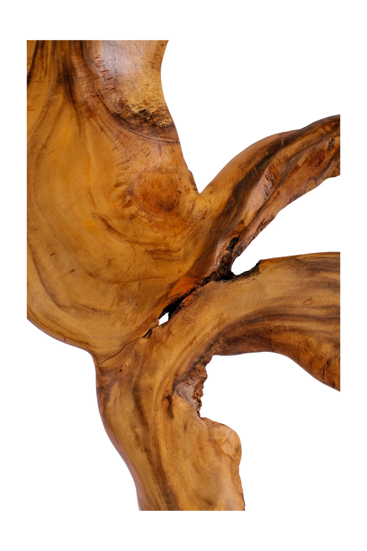 Nature’s Textured Harmony - Style 2