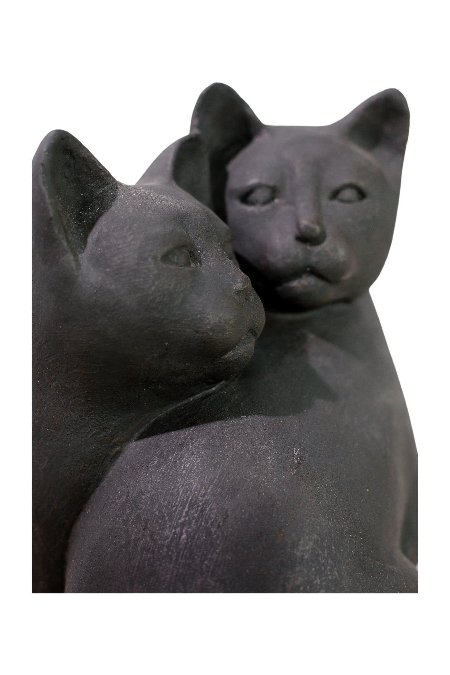 Hugging Cats in Love