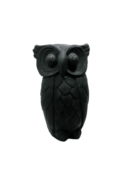 Lucky Owl