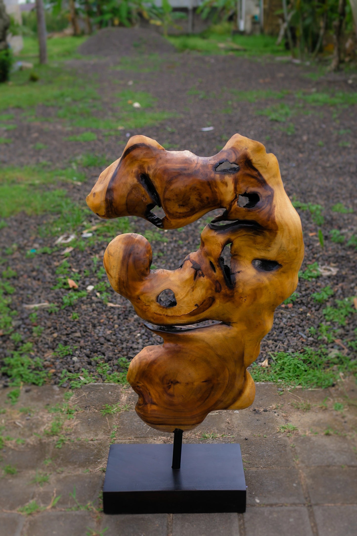 Natural Wooden Sculpture - Style 02