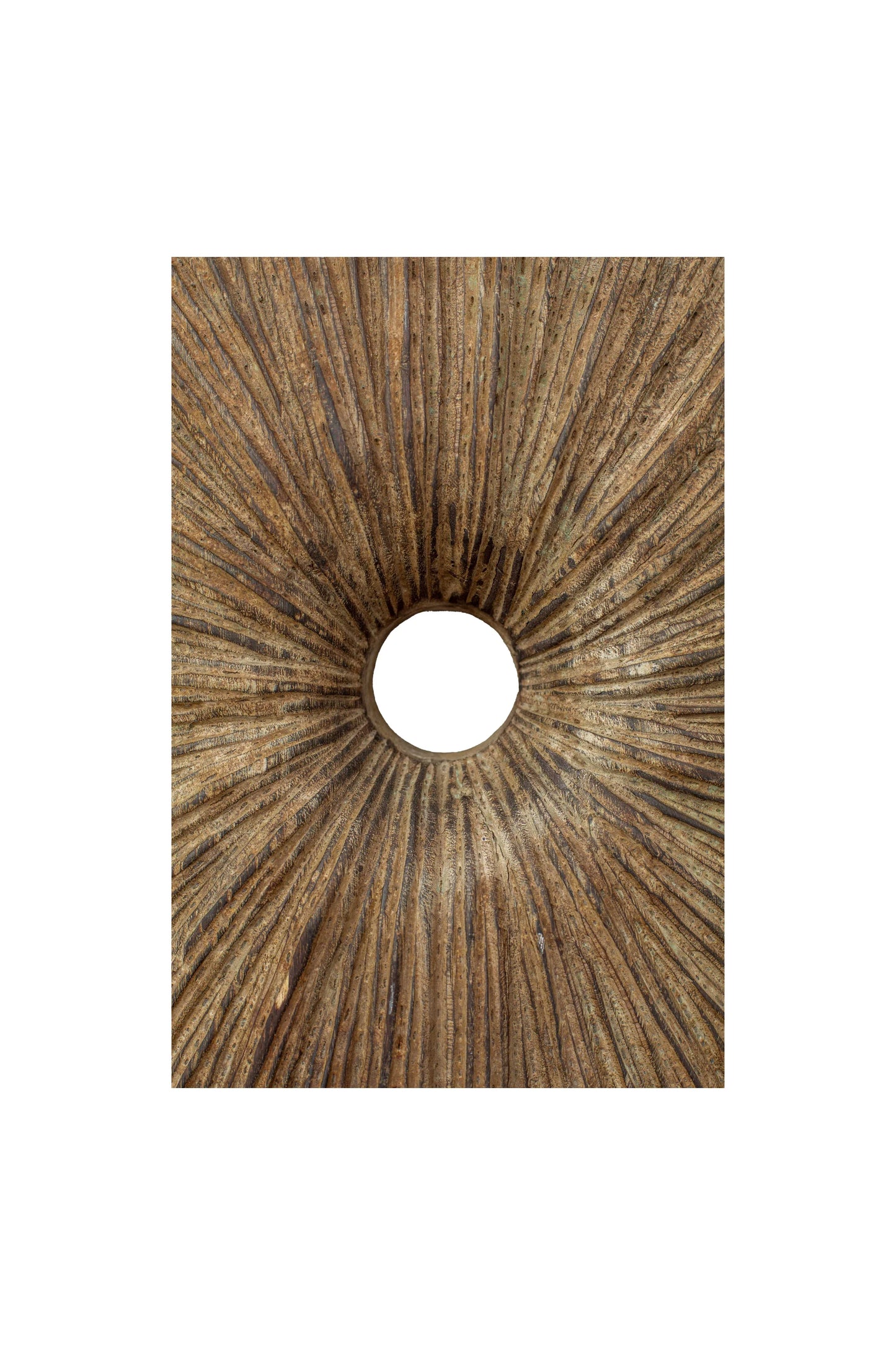 Antique Tribal Warrior Hand Carved Shield - Style 01